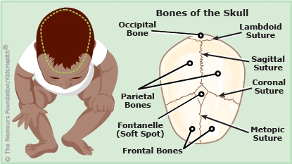 KidsHealth Image