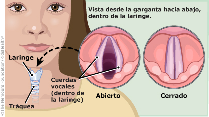KidsHealth Image